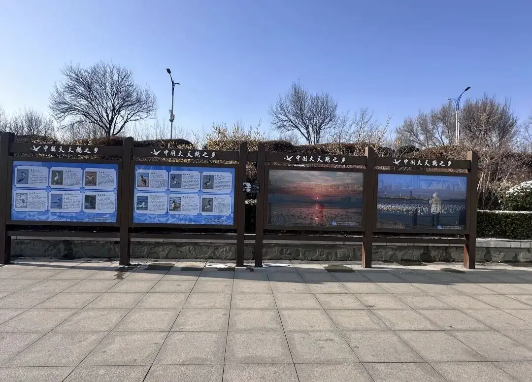 _杭州租房补贴社保断缴影响_脚肿了用醋泡脚有用吗