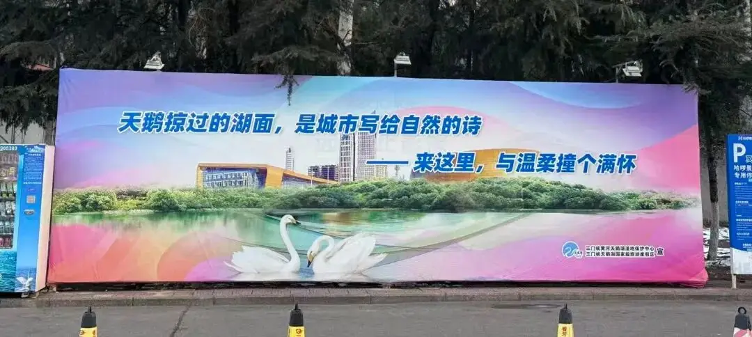 杭州租房补贴社保断缴影响_脚肿了用醋泡脚有用吗_