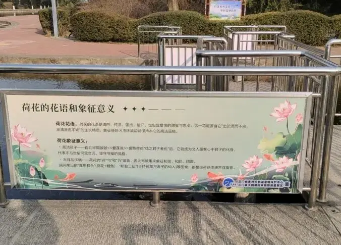 _脚肿了用醋泡脚有用吗_杭州租房补贴社保断缴影响