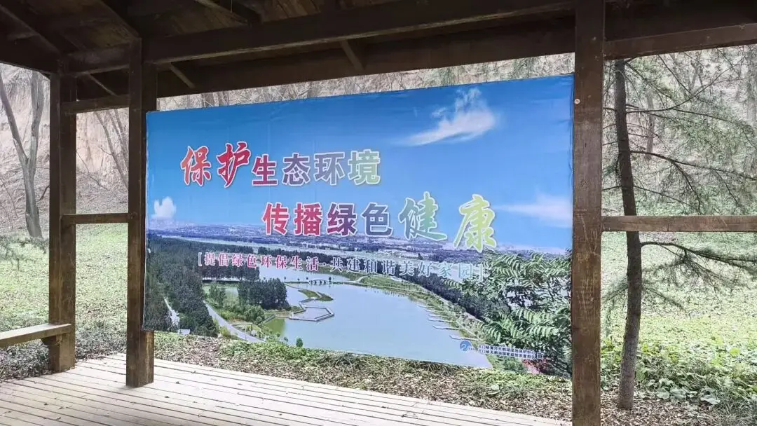 杭州租房补贴社保断缴影响_脚肿了用醋泡脚有用吗_