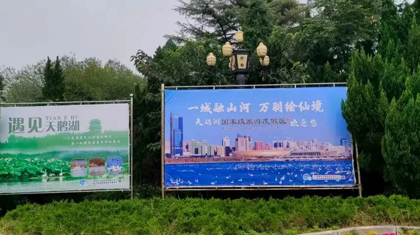 脚肿了用醋泡脚有用吗_杭州租房补贴社保断缴影响_