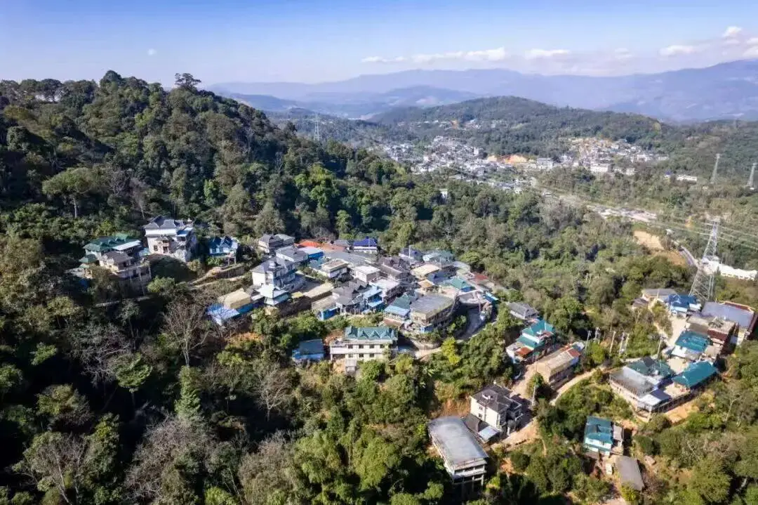 _【聚焦云南省两会】春风伴茶香 建言暖山乡_【聚焦云南省两会】春风伴茶香 建言暖山乡