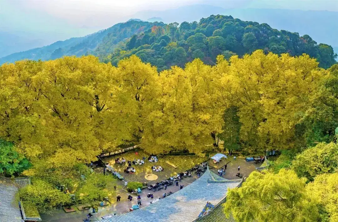 文旅“青”介 | 全国特色旅游线路，雅安+1