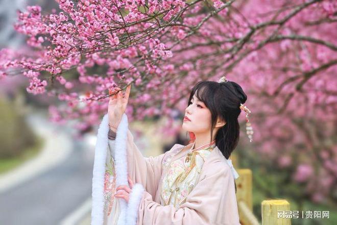 贵州梅园在哪里_泰国白庙汉服写真_