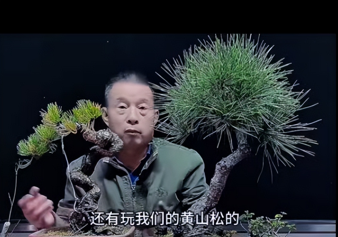 _68岁知名网红老师猝逝！知情人曝死因：4号直播后主动脉夹层破裂_68岁知名网红老师猝逝！知情人曝死因：4号直播后主动脉夹层破裂