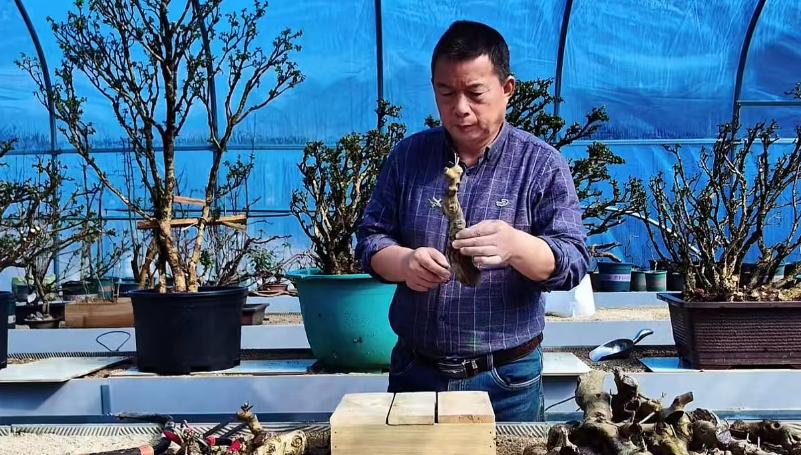 68岁知名网红老师猝逝！知情人曝死因：4号直播后主动脉夹层破裂__68岁知名网红老师猝逝！知情人曝死因：4号直播后主动脉夹层破裂