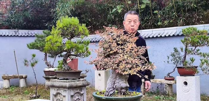 68岁知名网红老师猝逝！知情人曝死因：4号直播后主动脉夹层破裂__68岁知名网红老师猝逝！知情人曝死因：4号直播后主动脉夹层破裂