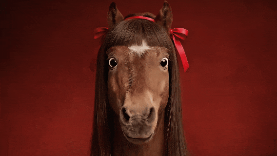 传奇广告服跟群服的区别_马年马年马上有钱是什么歌_