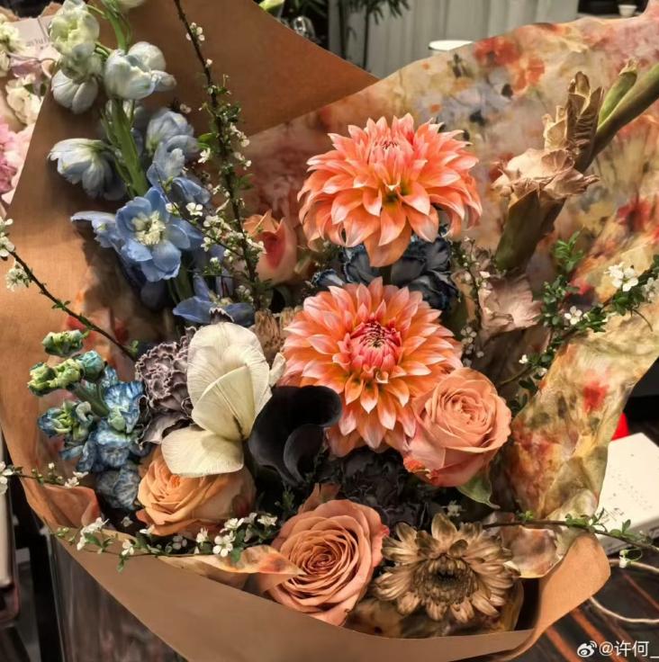 何晴冥诞儿子发文感谢许亚军！称他与继母为给何晴治病，跑遍医院_何晴冥诞儿子发文感谢许亚军！称他与继母为给何晴治病，跑遍医院_