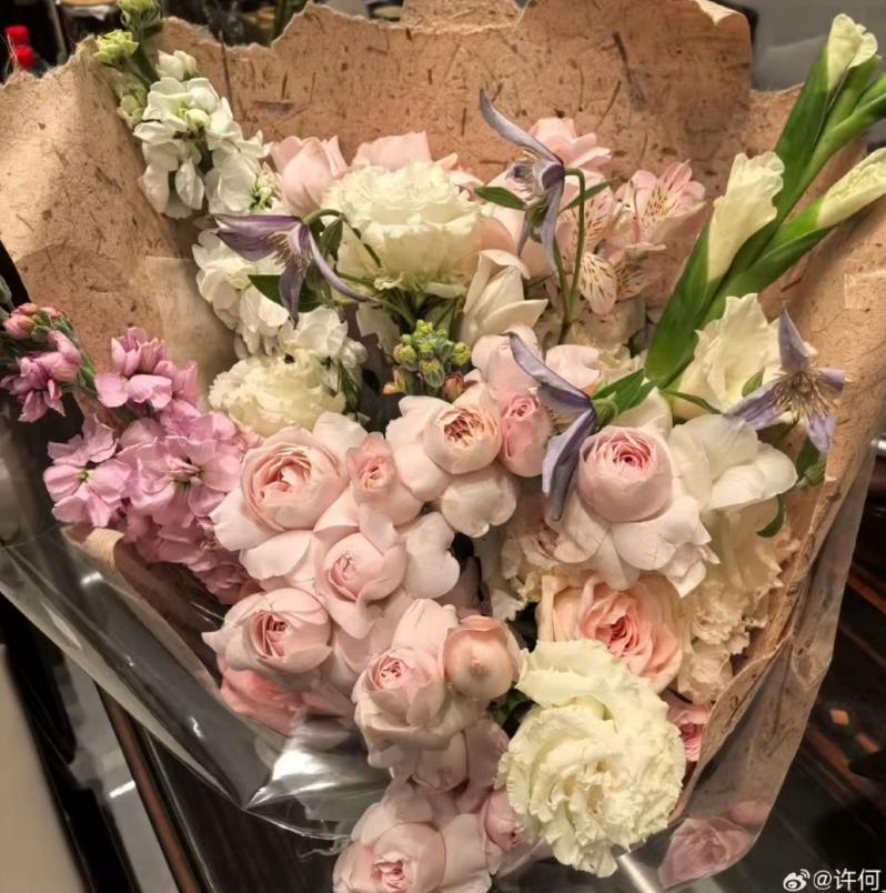 _何晴冥诞儿子发文感谢许亚军！称他与继母为给何晴治病，跑遍医院_何晴冥诞儿子发文感谢许亚军！称他与继母为给何晴治病，跑遍医院