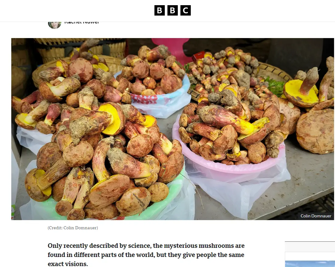 _“一次旅行远远不够”——外媒视野中立体、鲜活、开放的云南_“一次旅行远远不够”——外媒视野中立体、鲜活、开放的云南