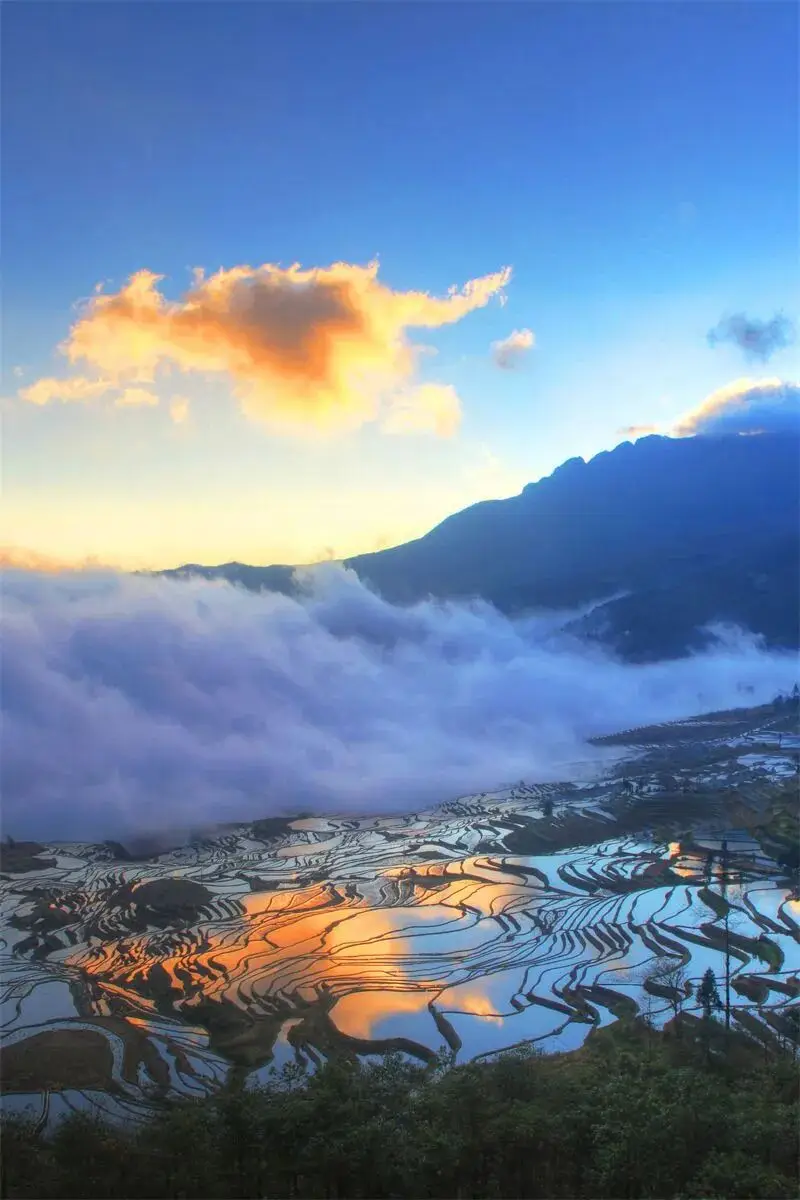 旅居云南丨别宅家！赴一场20℃的暖冬旅居之约_旅居云南丨别宅家！赴一场20℃的暖冬旅居之约_