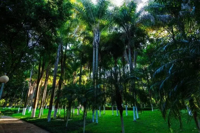 旅居云南丨别宅家！赴一场20℃的暖冬旅居之约__旅居云南丨别宅家！赴一场20℃的暖冬旅居之约
