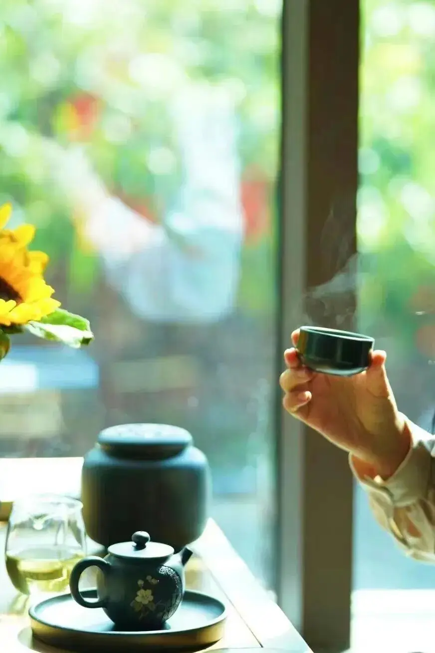 旅居云南丨别宅家！赴一场20℃的暖冬旅居之约_旅居云南丨别宅家！赴一场20℃的暖冬旅居之约_