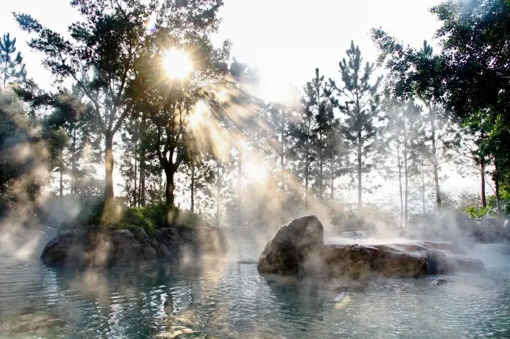 旅居云南丨别宅家！赴一场20℃的暖冬旅居之约_旅居云南丨别宅家！赴一场20℃的暖冬旅居之约_