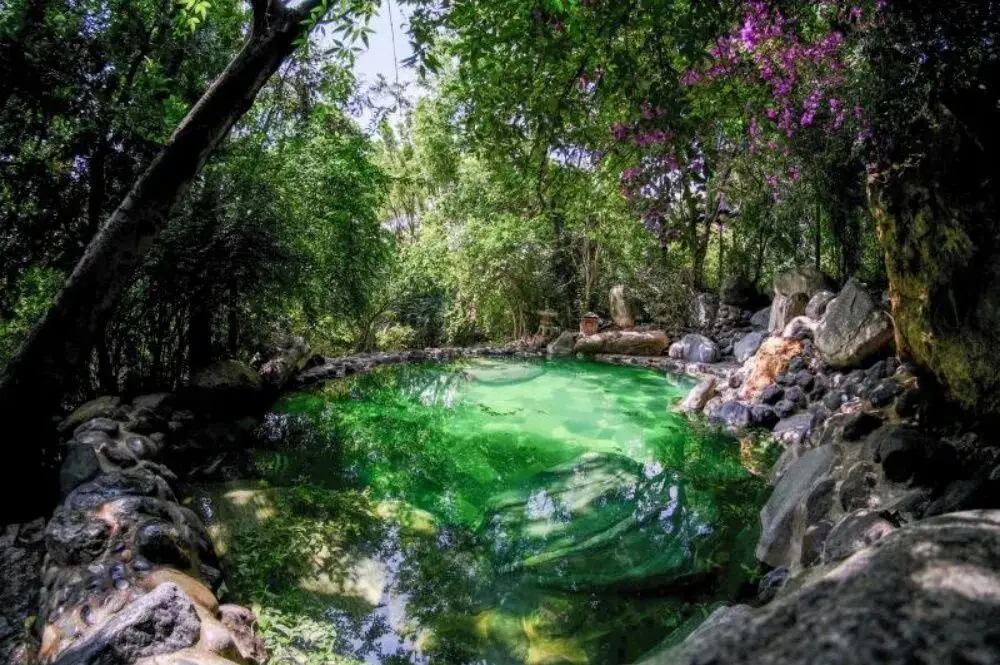 旅居云南丨别宅家！赴一场20℃的暖冬旅居之约_旅居云南丨别宅家！赴一场20℃的暖冬旅居之约_