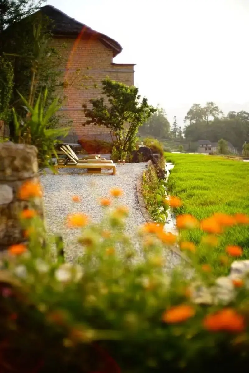 _旅居云南丨别宅家！赴一场20℃的暖冬旅居之约_旅居云南丨别宅家！赴一场20℃的暖冬旅居之约