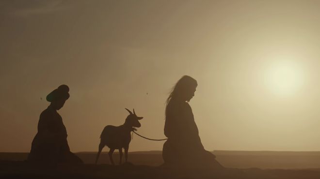 杨紫白鹿，正式开战！