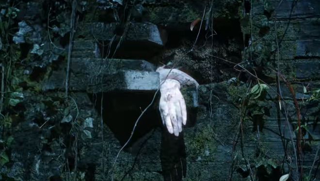 杨紫和白鹿新剧女主演成配角_杨紫白鹿_