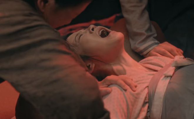 杨紫白鹿__杨紫和白鹿新剧女主演成配角