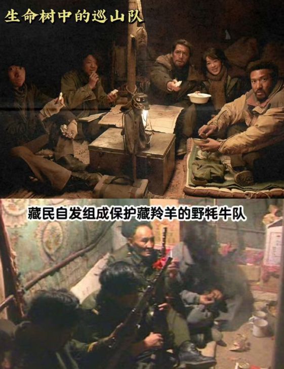 杨紫和白鹿新剧女主演成配角__杨紫白鹿