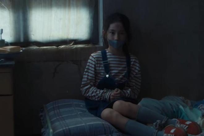 _老鼠屎断案的道理_老鼠屎的意思