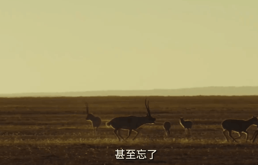 满脸斑的女星_涂脸的粉是什么粉_