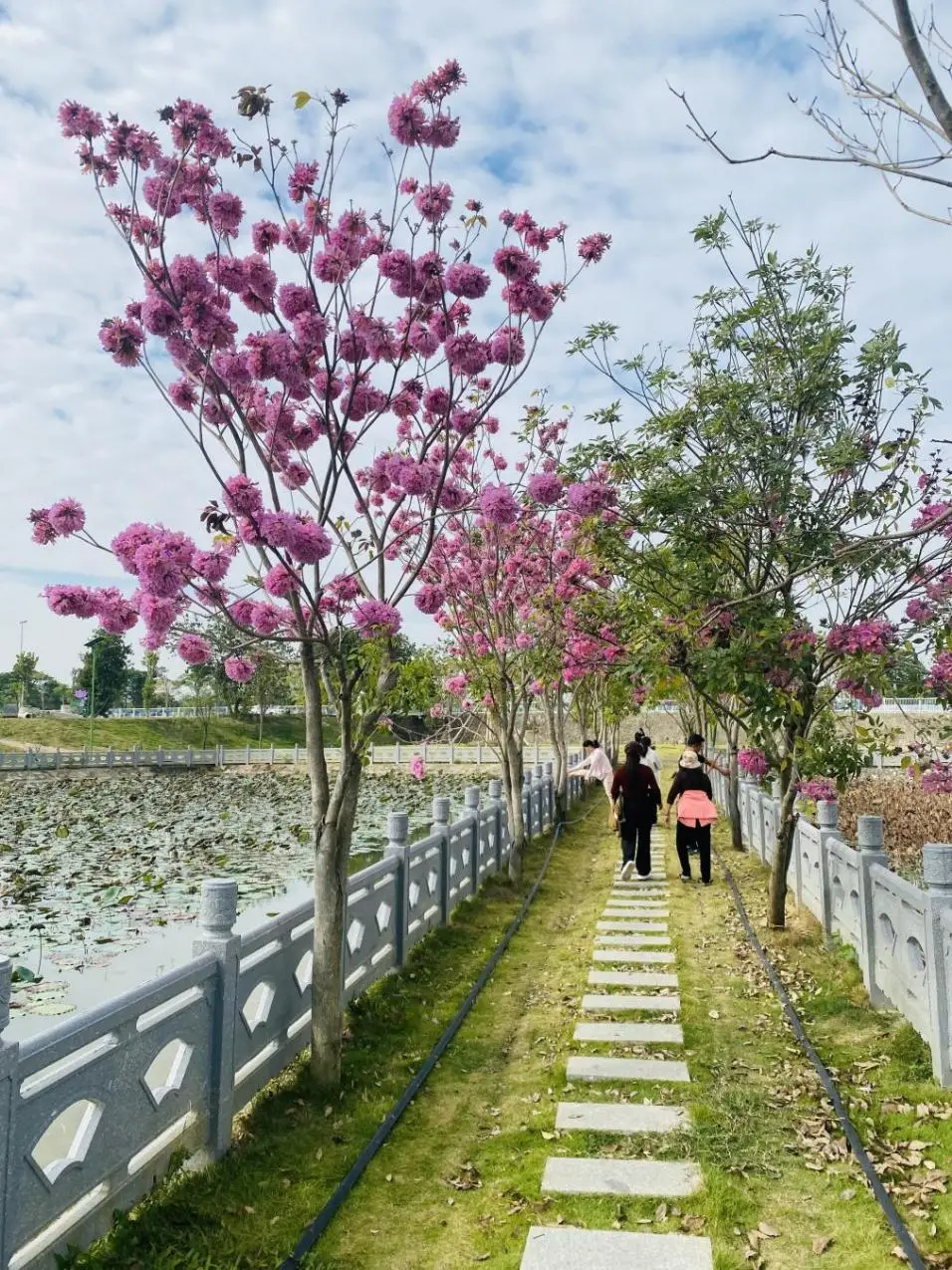 _白云区南村村委会_广州白云区南村图片
