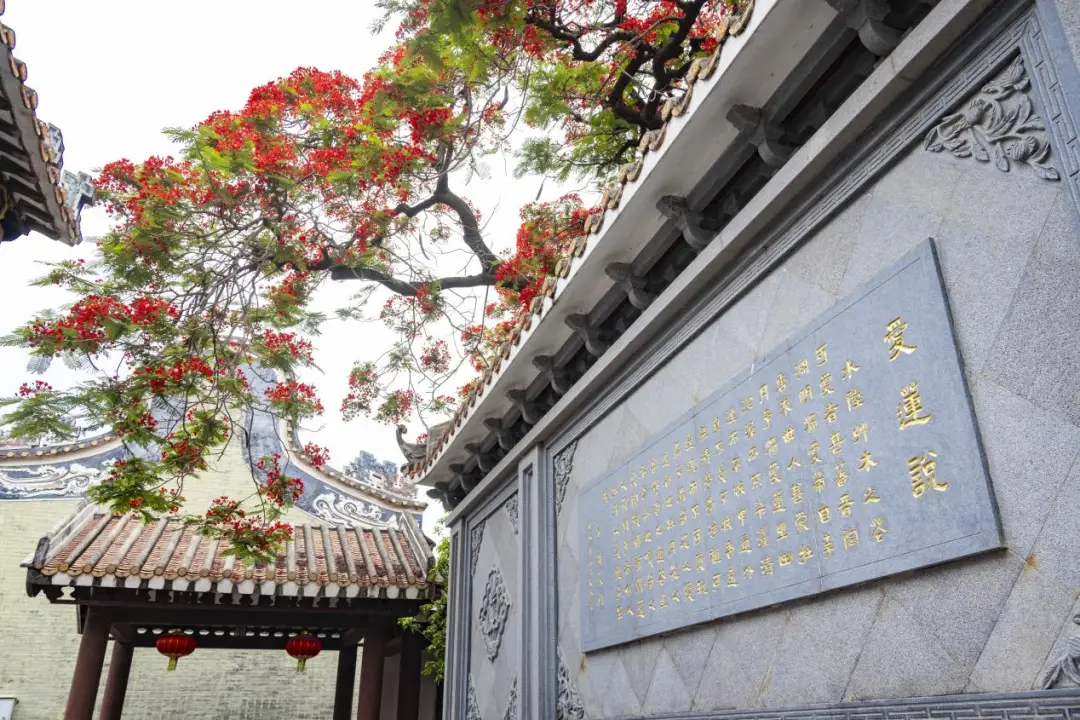 _广州白云区南村图片_白云区南村村委会