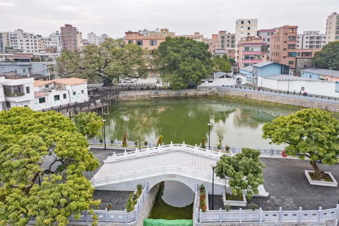 _白云区南村村委会_广州白云区南村图片