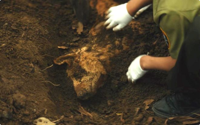 _谣言入罪其实就是妄议入刑_开播罪坑孙令观众入迷是真的吗