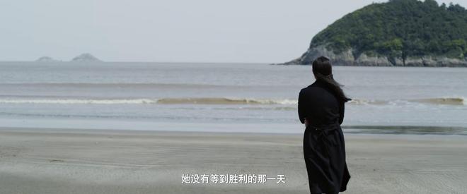 潜伏里的落英是谁演的__潜伏洛英