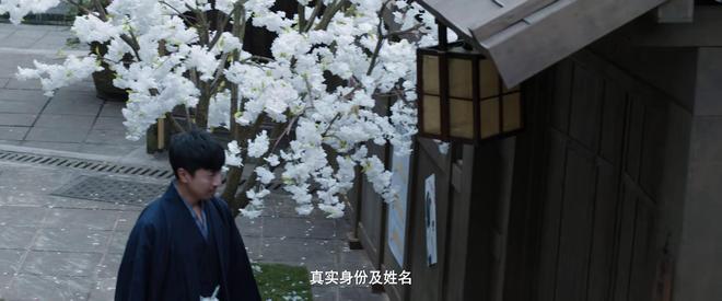 潜伏里的落英是谁演的_潜伏洛英_