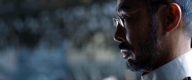 _潜伏洛英_潜伏里的落英是谁演的