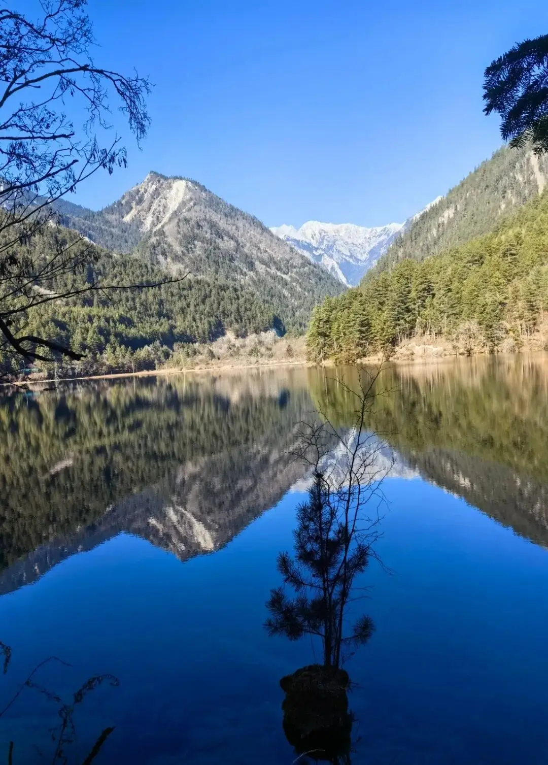 九寨沟风止雪停天地静，彩水潺潺漾生机_九寨沟风止雪停天地静，彩水潺潺漾生机_