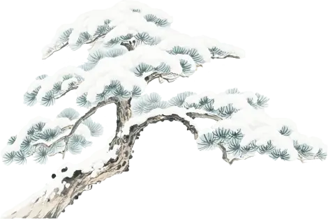 九寨沟风止雪停天地静，彩水潺潺漾生机_九寨沟风止雪停天地静，彩水潺潺漾生机_