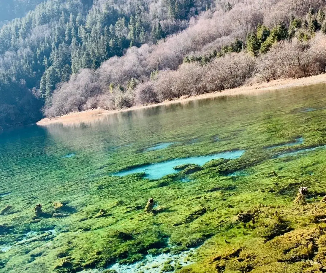 九寨沟风止雪停天地静，彩水潺潺漾生机_九寨沟风止雪停天地静，彩水潺潺漾生机_