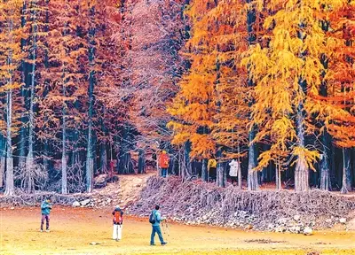 烈骨诗心是嵊州