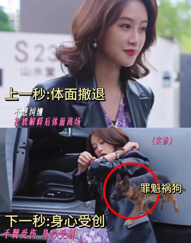 _《有罪之身》、《夜色正浓》各看4集，一部当场弃，一部熬夜狂追_《有罪之身》、《夜色正浓》各看4集，一部当场弃，一部熬夜狂追