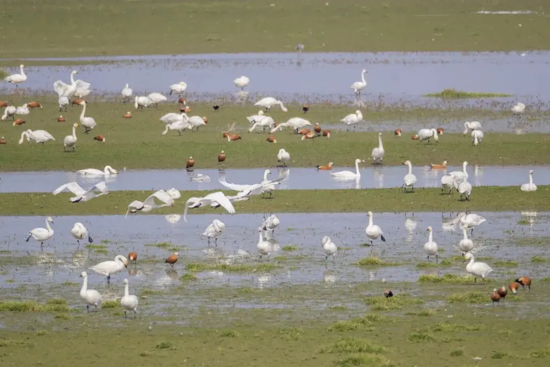 重庆常德_常德与重庆交界吗_