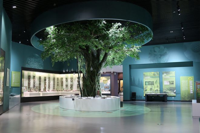 潍坊博览馆_参观潍坊市博物馆_