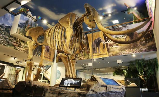 _参观潍坊市博物馆_潍坊博览馆