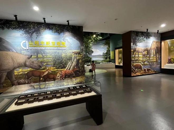 _潍坊博览馆_参观潍坊市博物馆