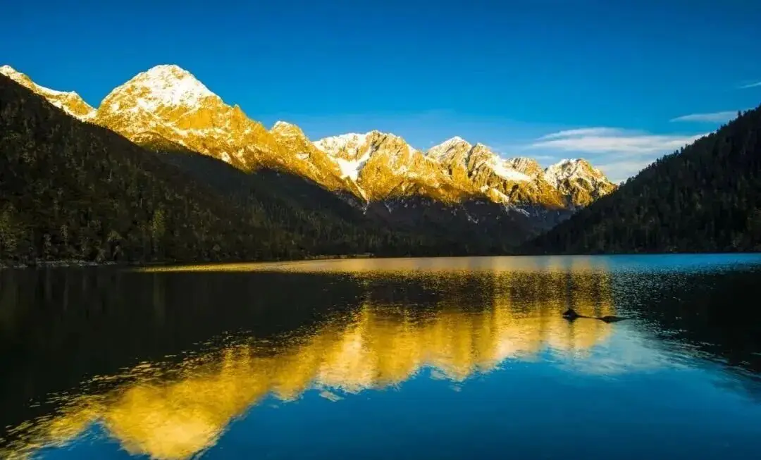 圣洁甘孜·一生有约 | 九龙九秘，一场关于山川、时光与舌尖的极致邀约__圣洁甘孜·一生有约 | 九龙九秘，一场关于山川、时光与舌尖的极致邀约