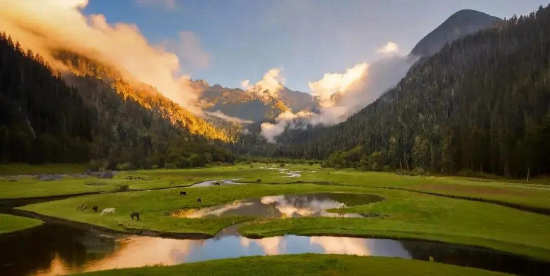 圣洁甘孜·一生有约 | 九龙九秘，一场关于山川、时光与舌尖的极致邀约__圣洁甘孜·一生有约 | 九龙九秘，一场关于山川、时光与舌尖的极致邀约