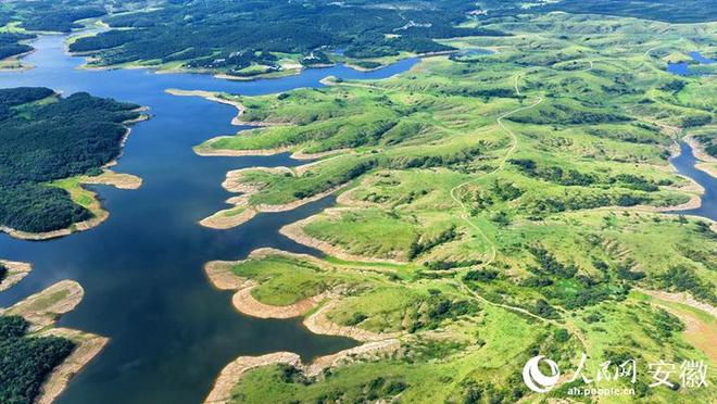 明光黄寨草原：风吹草低见“新景”