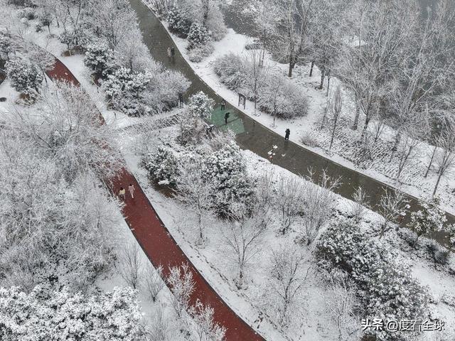 雪落太极故里，温县这场雪不止有如画风景！