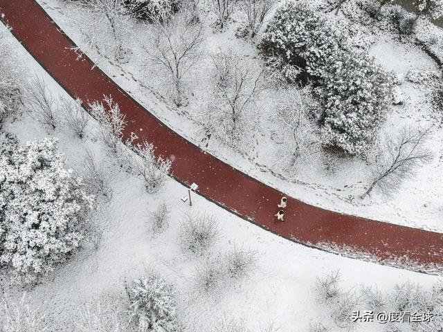 _温县太极度假村_太极故里是哪里