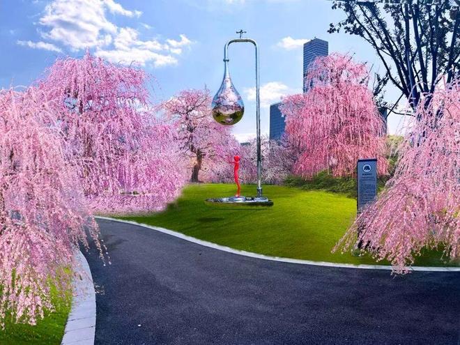 魔都赏花新去处，都是典藏级！10米垂枝梅盛花如瀑，“活着的古董”看千年油橄榄