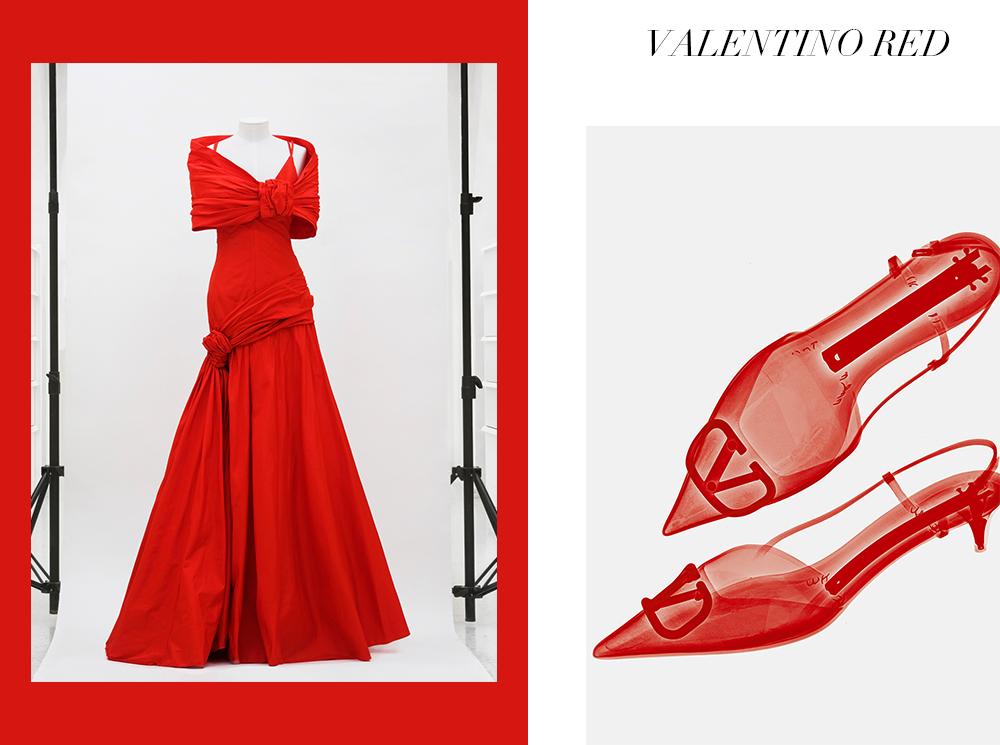 _红垂野岸樱还熟_垂铃了6号红核桃苗价格